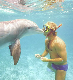 Interact with JoJo the dolphin! Only in the Turks and Caicos.