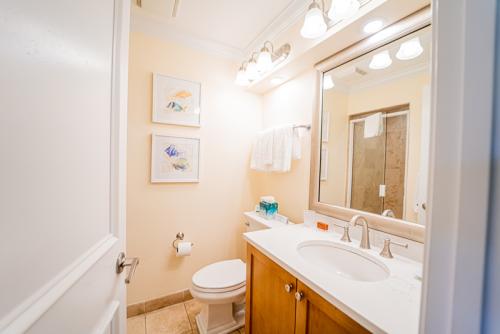 VR203 Hall Bath II 2022