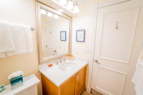 VR203 Hall Bath IV 2022